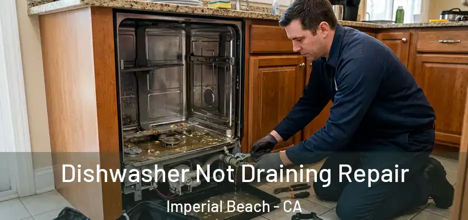 Dishwasher Not Draining Repair Imperial Beach - CA